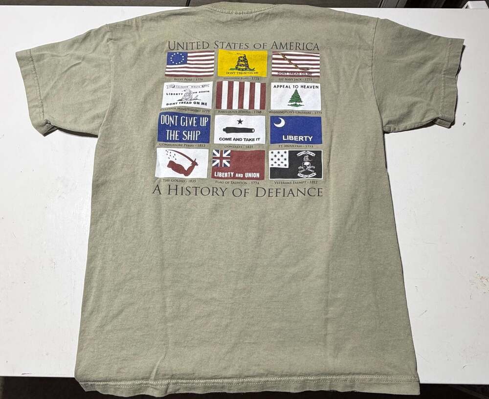 Bayside Heavyweight A History of Defiance Sage Green Graphic T-Shirt